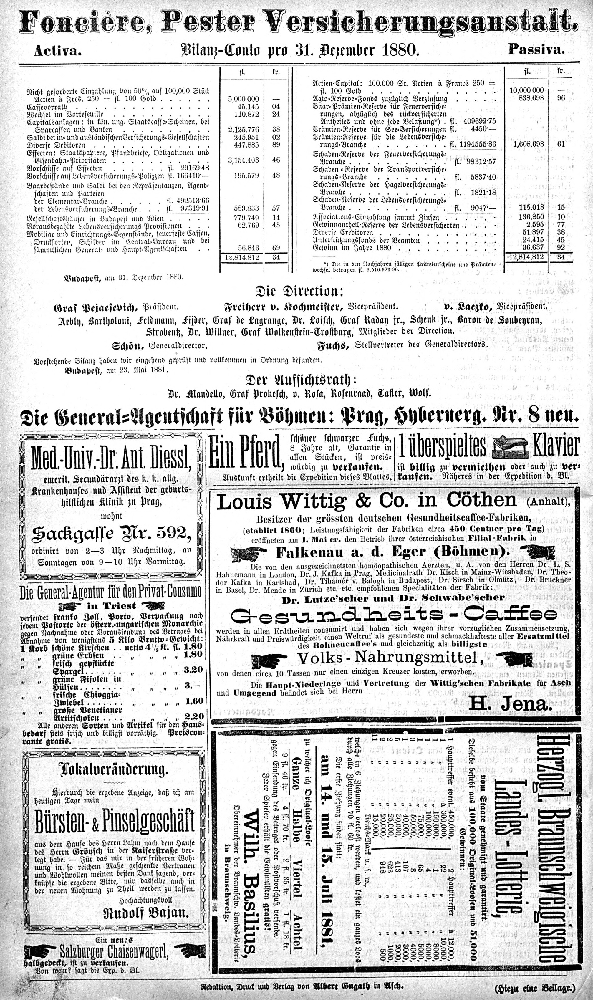 4. soap-ch_knihovna_ascher-zeitung-1881-06-22-n50_1710