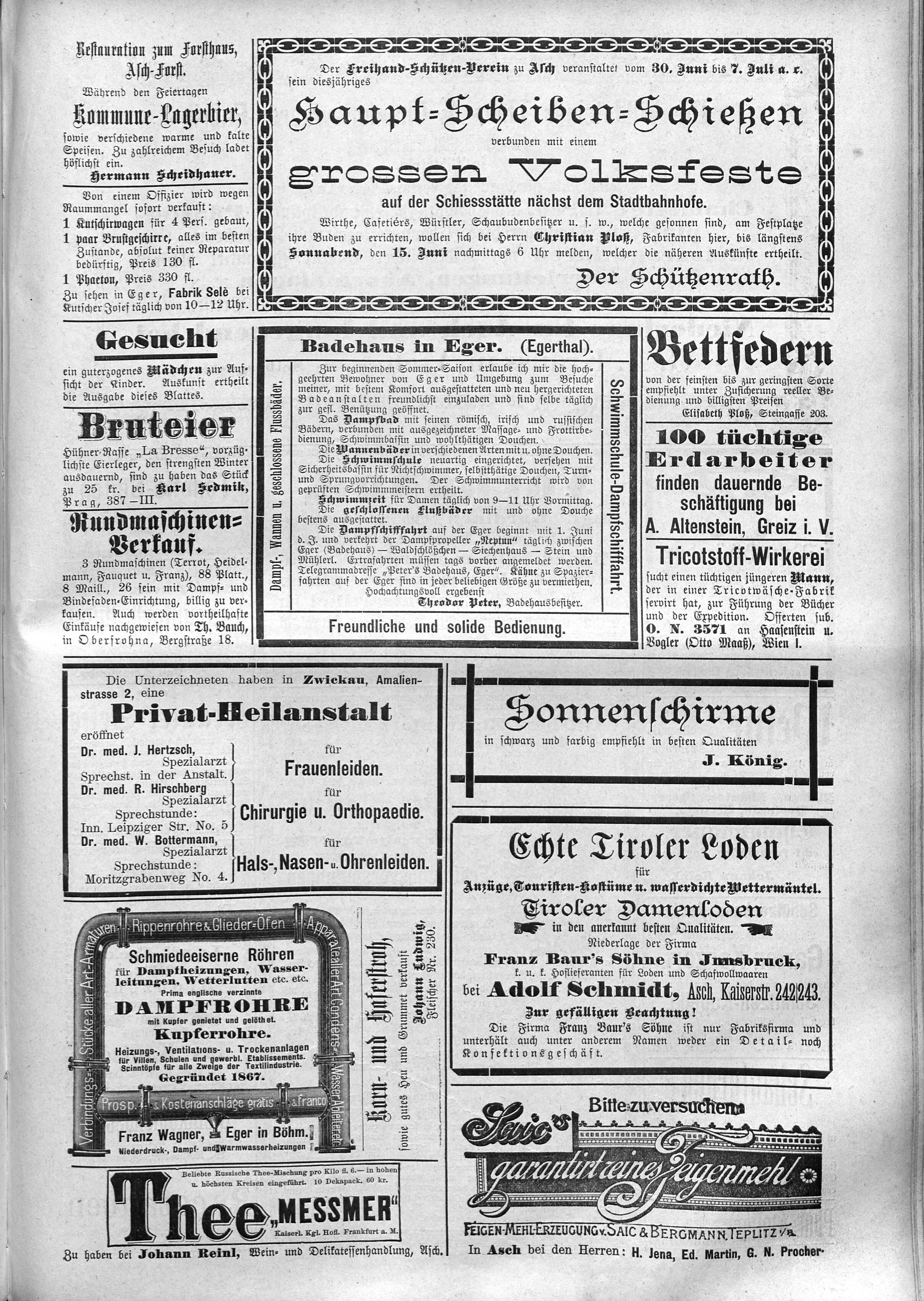 9. soap-ch_knihovna_ascher-zeitung-1895-06-01-n44_2065